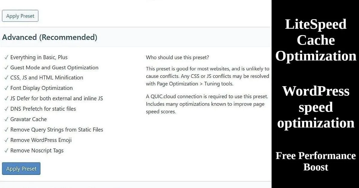 LiteSpeed Cache Advanced preset settings interface showing WordPress speed optimization features and configuration options